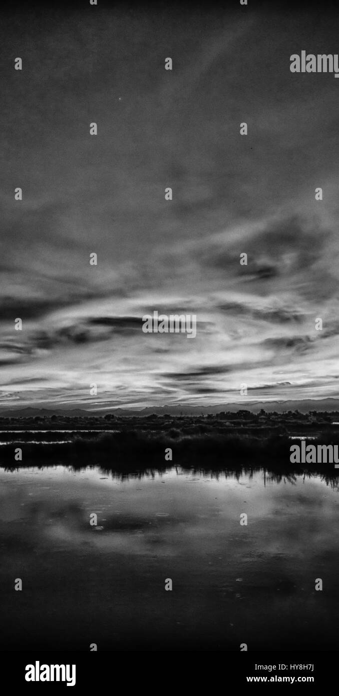Bush sunrise with silhouette Black and White Stock Photos & Images - Alamy