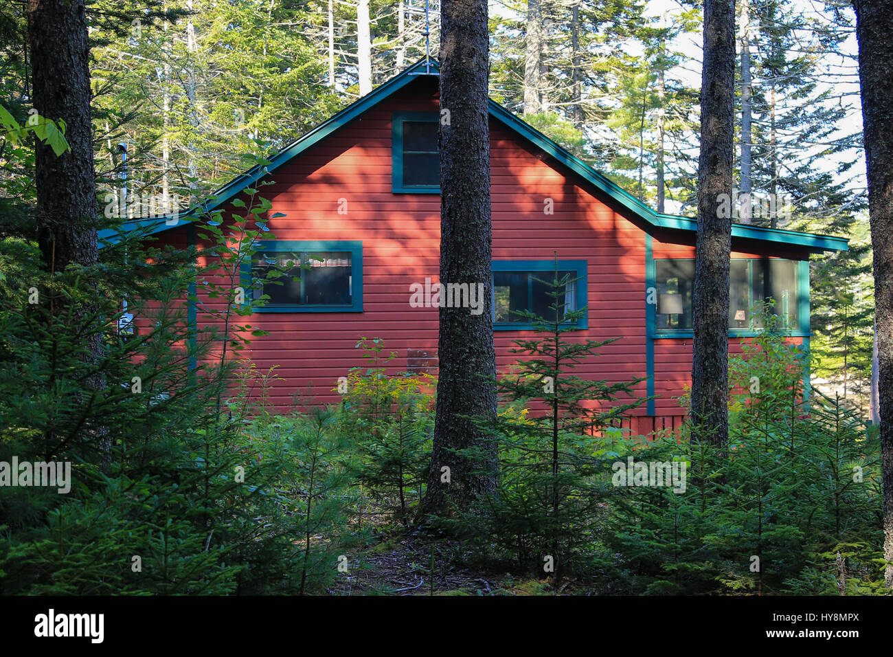 Cabin in the woods Stock Photo