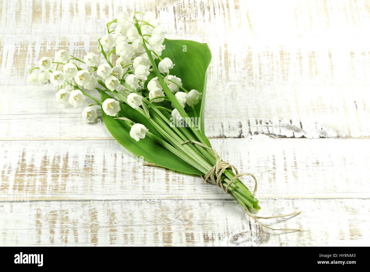 Lily of the valley bunch hi-res stock photography and images - Alamy