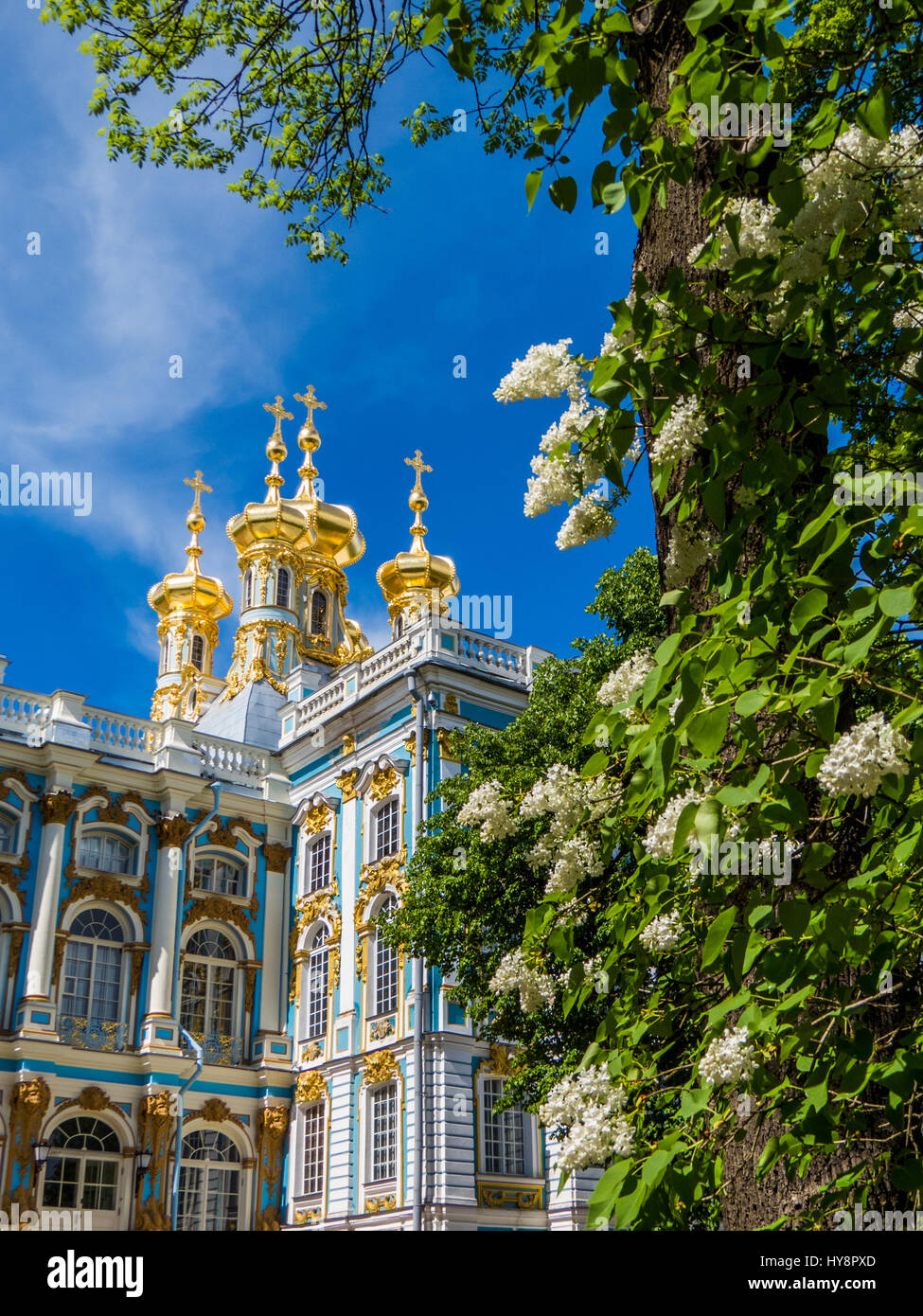 Catherine Palace in Pushkin, St. Petersburg, Russia Stock Photo