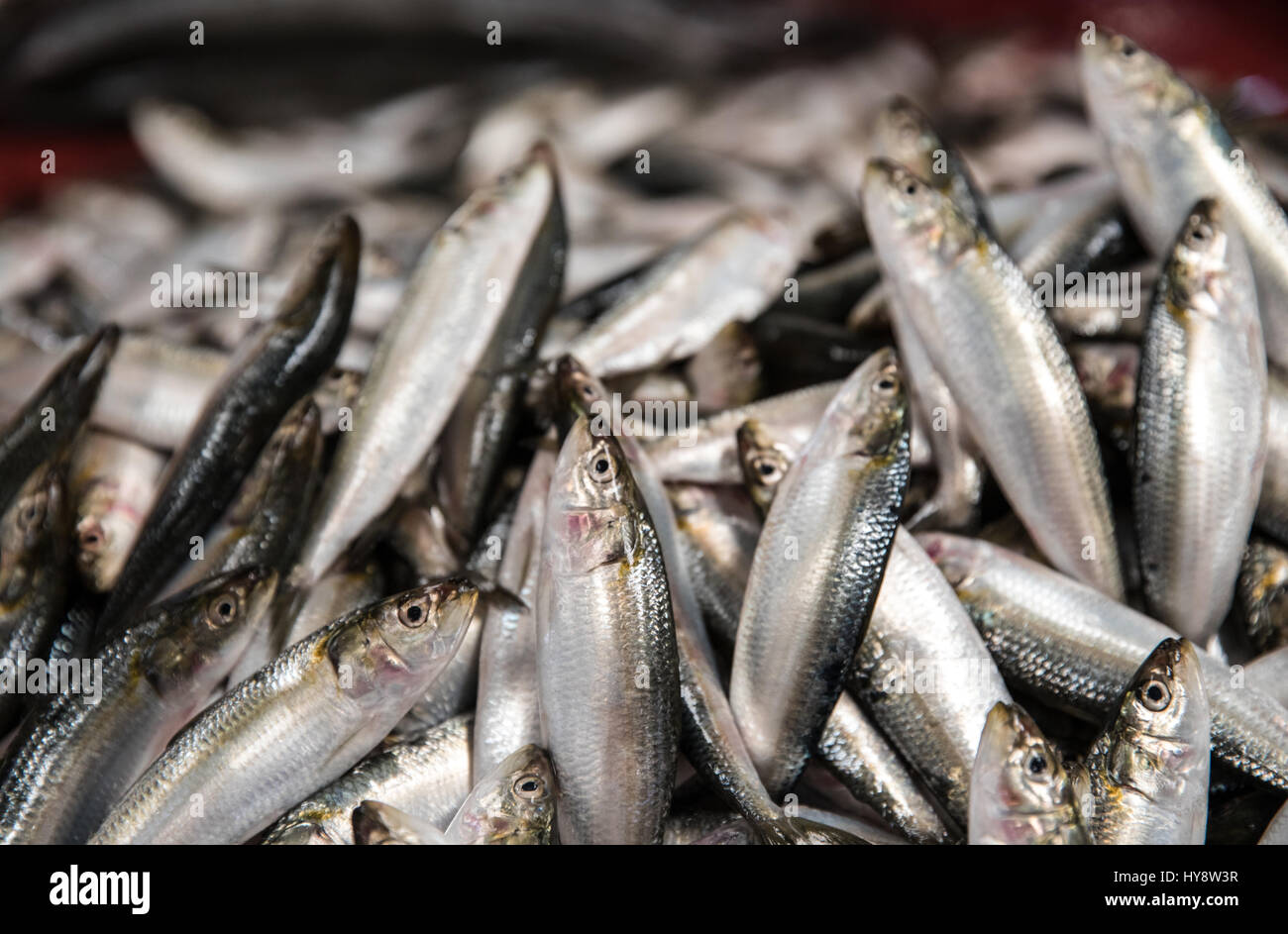 Fresh seafood on the market. Dubai, United Arab Emirates Stock Photo