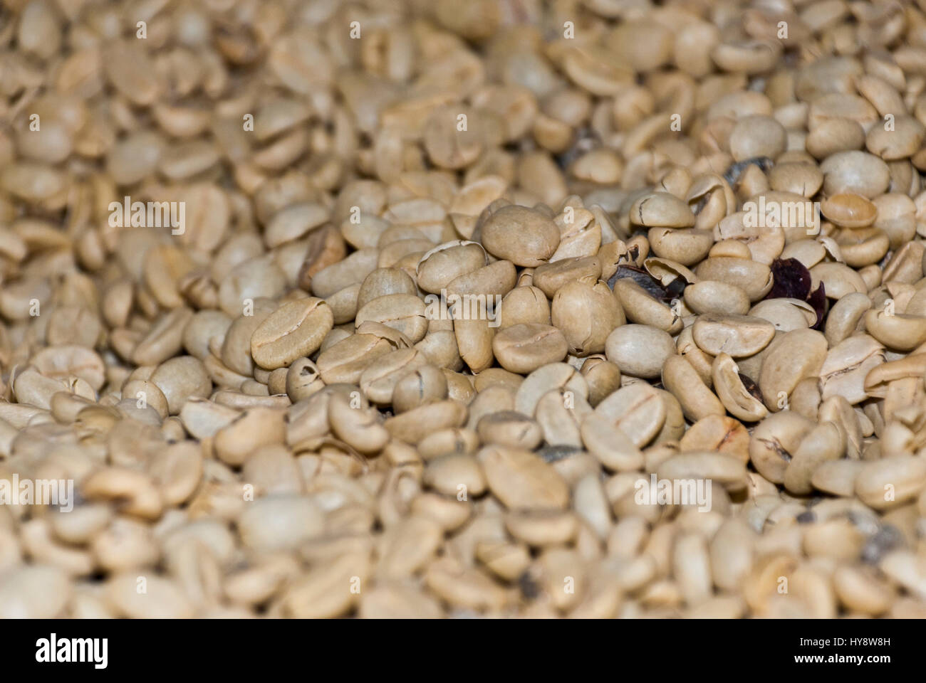 Coffee Green Coffee Beans Nutrient Value And Antioxidant Content