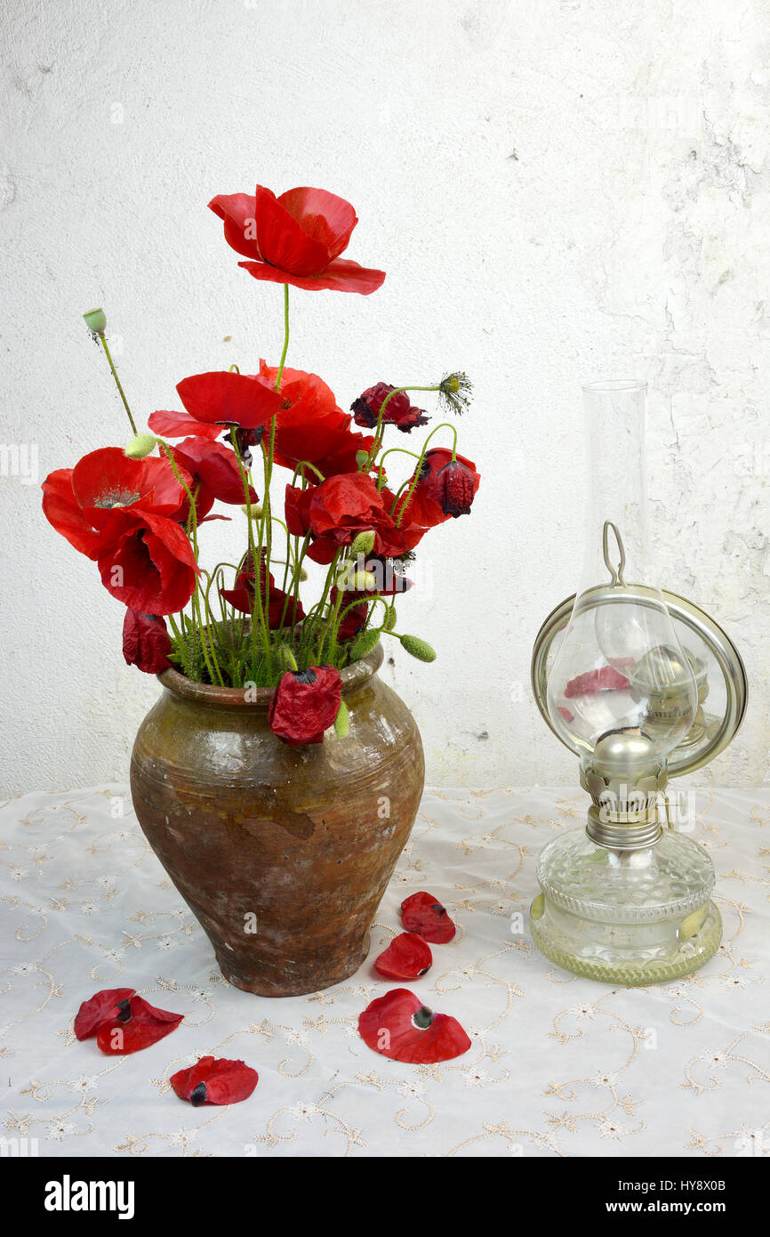 Vase With Poppies High Resolution Stock Photography and Images - Alamy