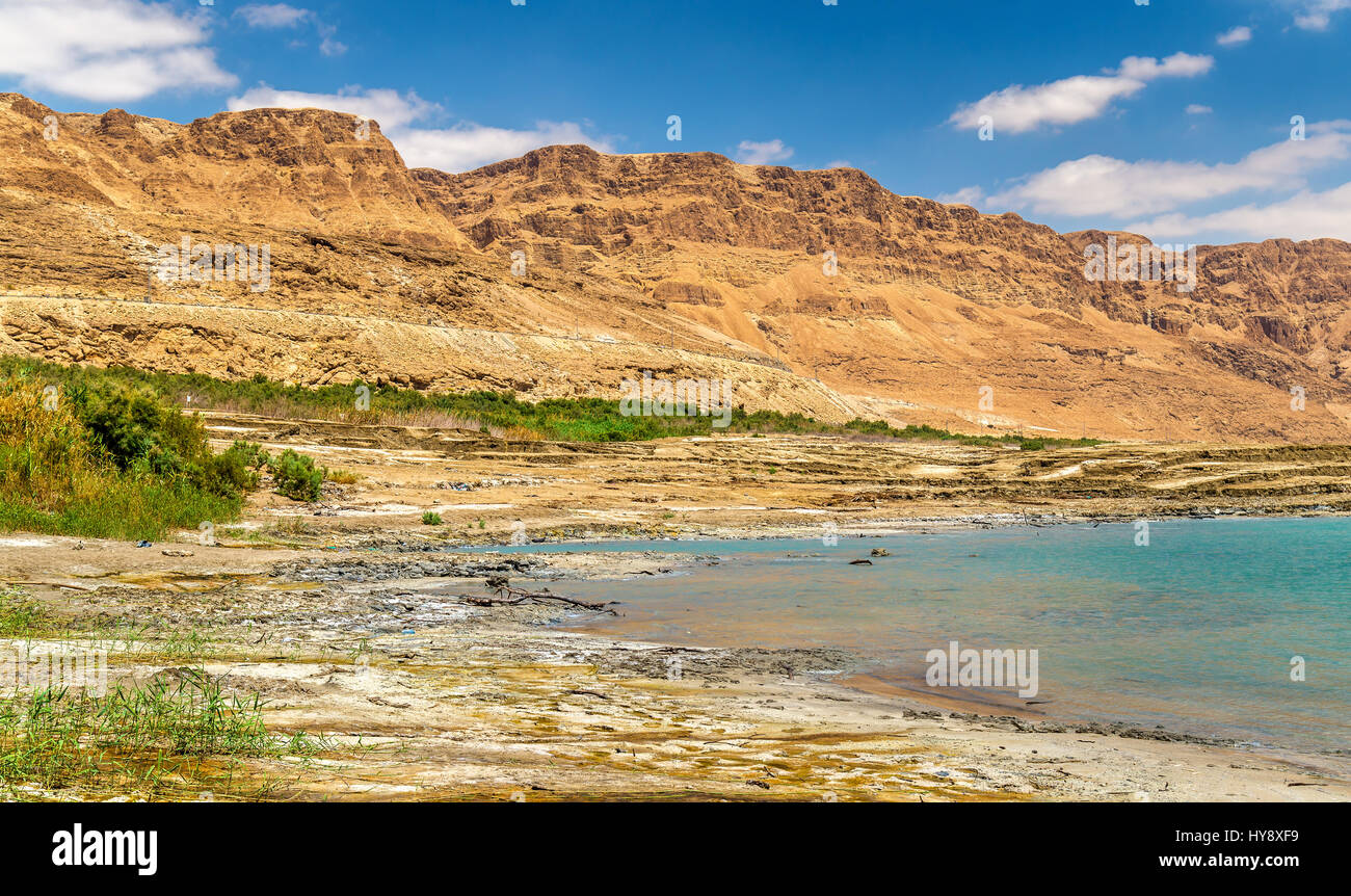 View of the Dead Sea coastline Stock Photo