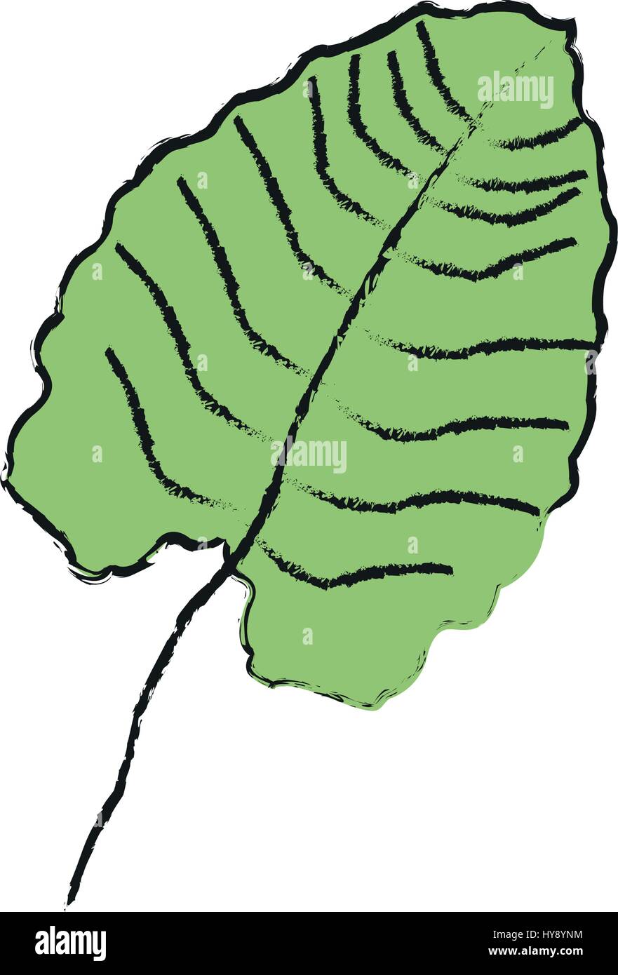 tropical leaf icon Stock Vector Image & Art - Alamy