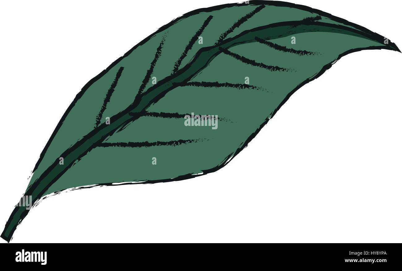 tropical leaf icon Stock Vector Image & Art - Alamy