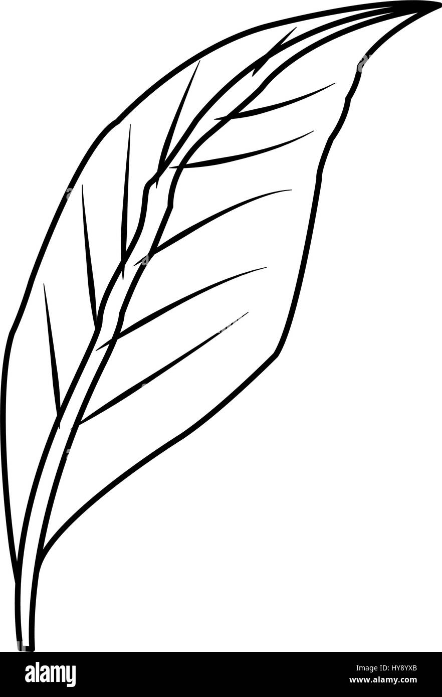 tropical leaf icon Stock Vector Image & Art - Alamy