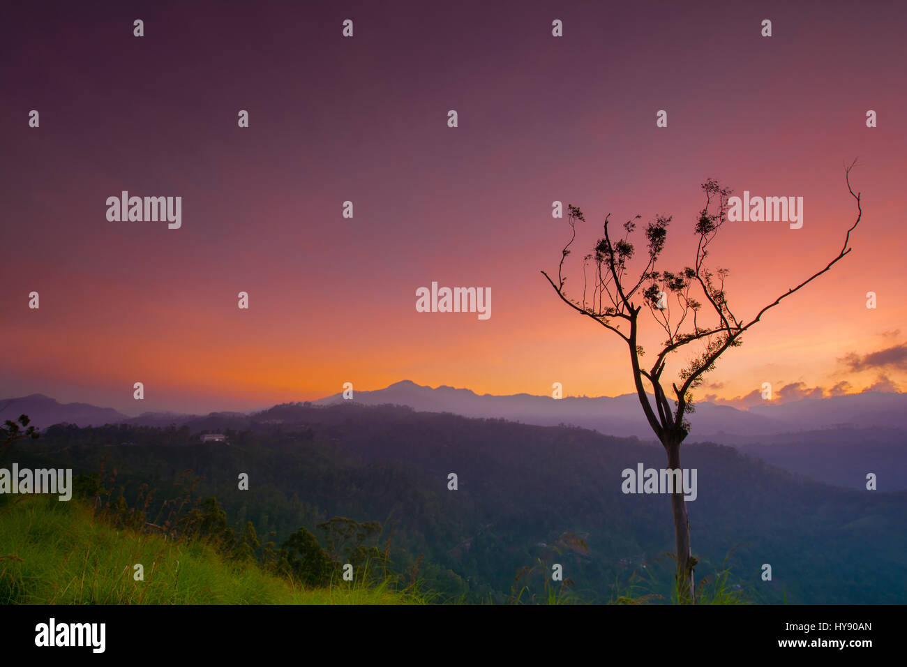 Beautiful sunrise at little Adams peak in Ella, Sri Lanka Stock Photo ...