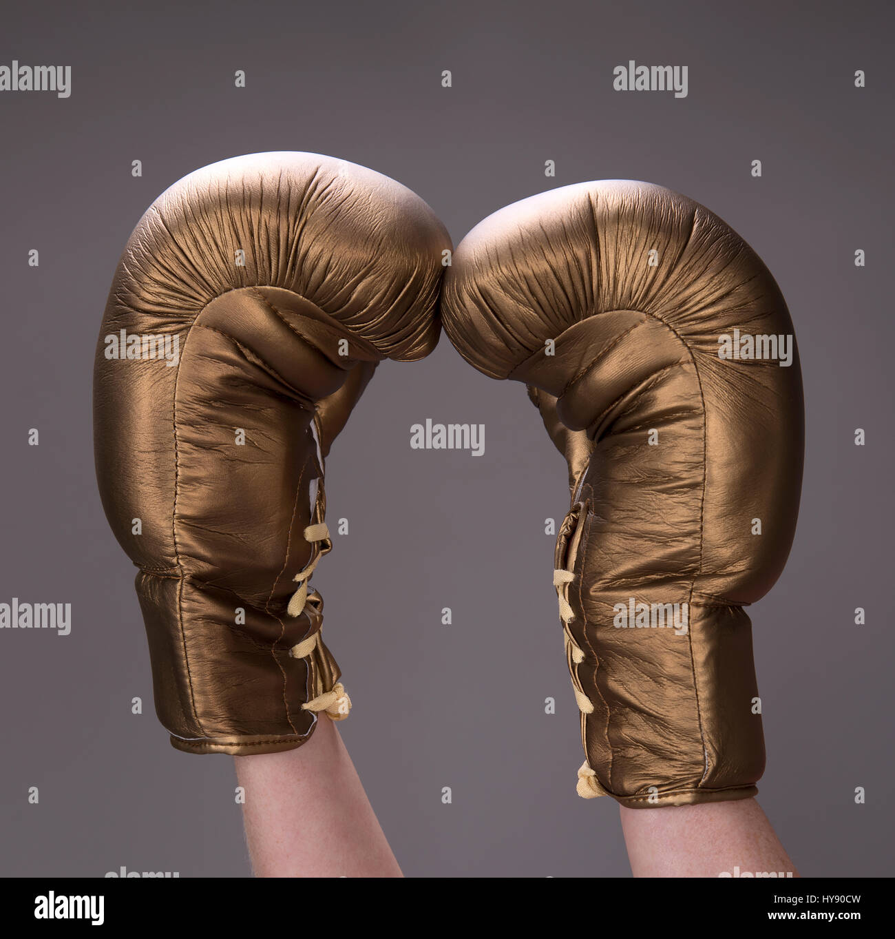 Gold boxing gloves hires stock photography and images Alamy