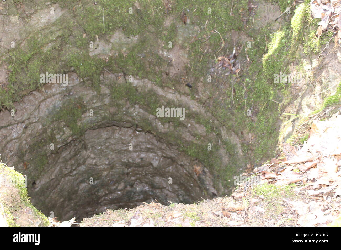 Sinkhole, Hiking Trail, Cedars of Lebanon State Park, Lebanon TN USA