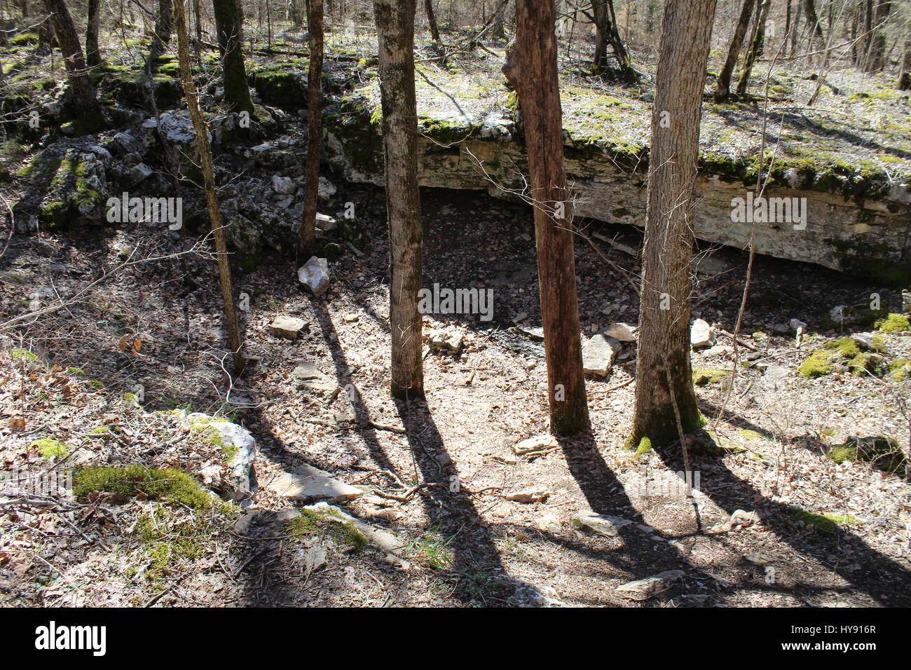 Sinkhole, Hiking Trail, Cedars of Lebanon State Park, Lebanon TN USA