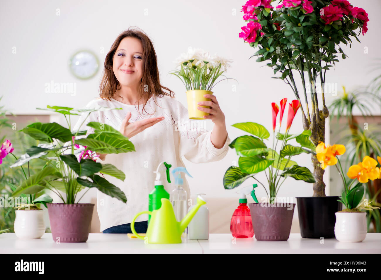Young woman looking after plants at home Stock Photo Alamy