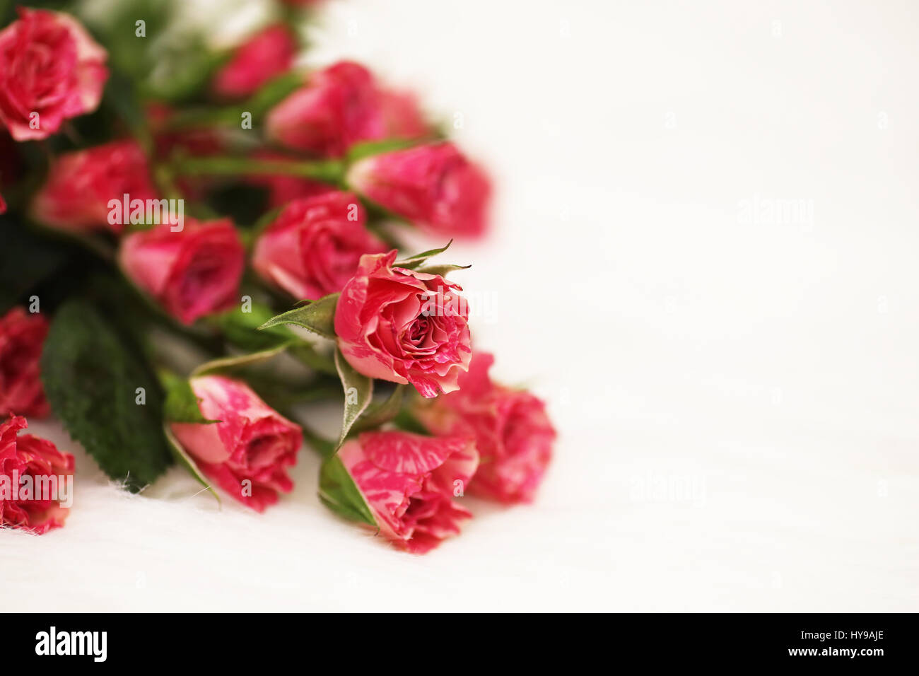 Bouquet of red roses on a white background Stock Photo - Alamy