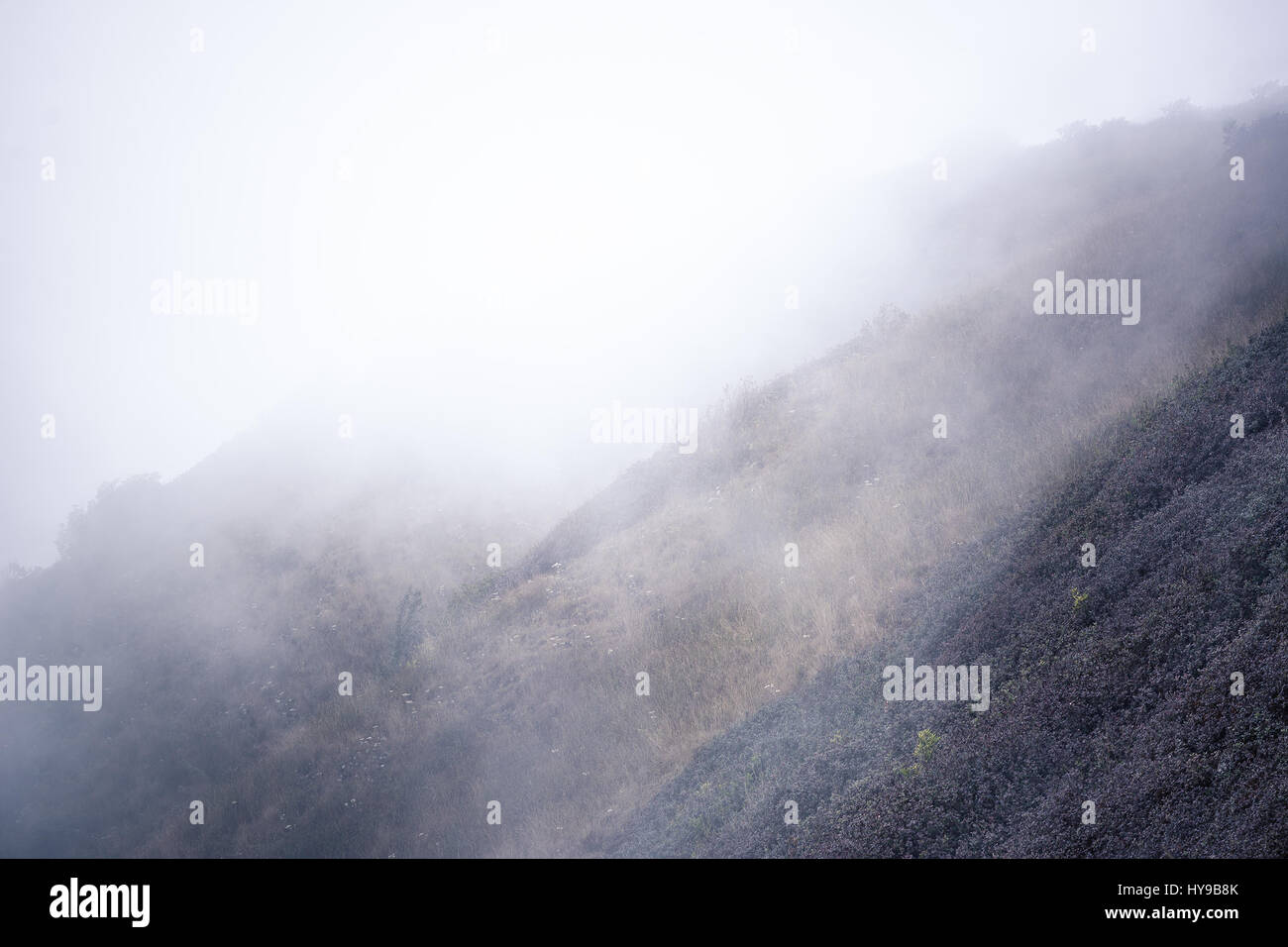 view of mountain forests covering by fog for background Stock Photo - Alamy