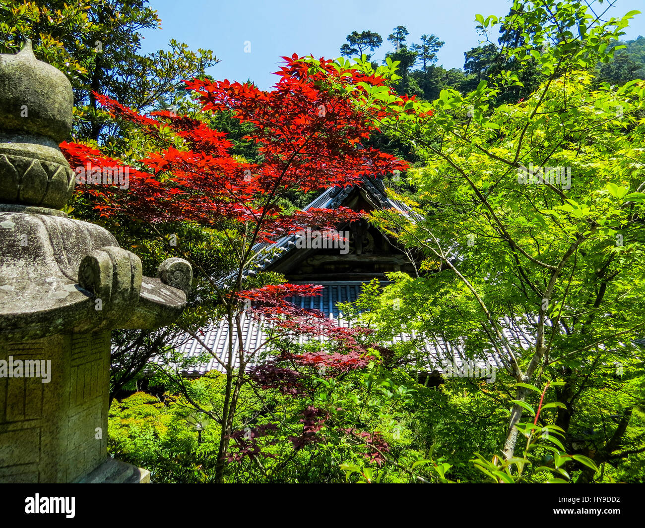 Daisho-in Temple in Miyajima, Japan Stock Photo