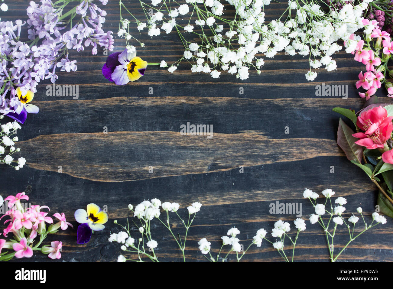 Various spring flowers hi-res stock photography and images - Alamy