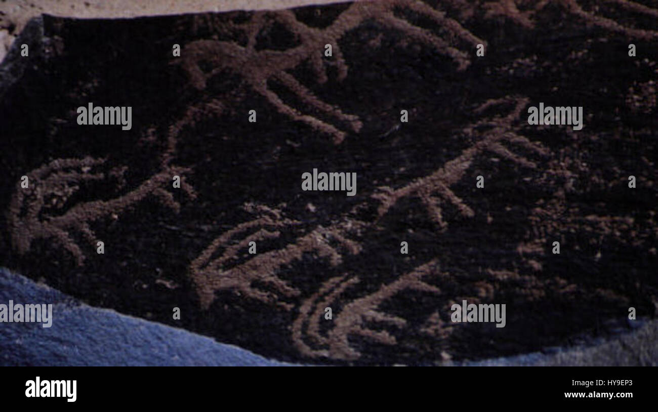 'Prehistory Draa 141' appears to reference an archaeological or ...