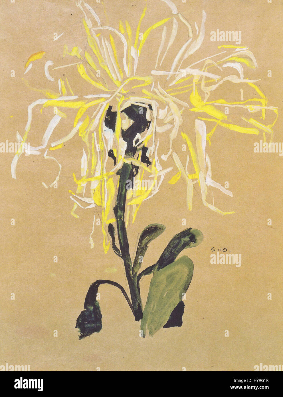 Egon Schiele   Gelbe Chrysantheme   1910 Stock Photo