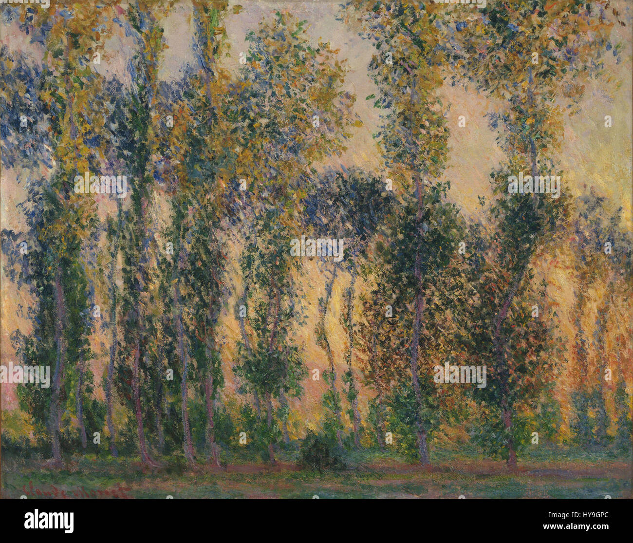 Claude Monet   Poplars at Giverny, Sunrise Stock Photo