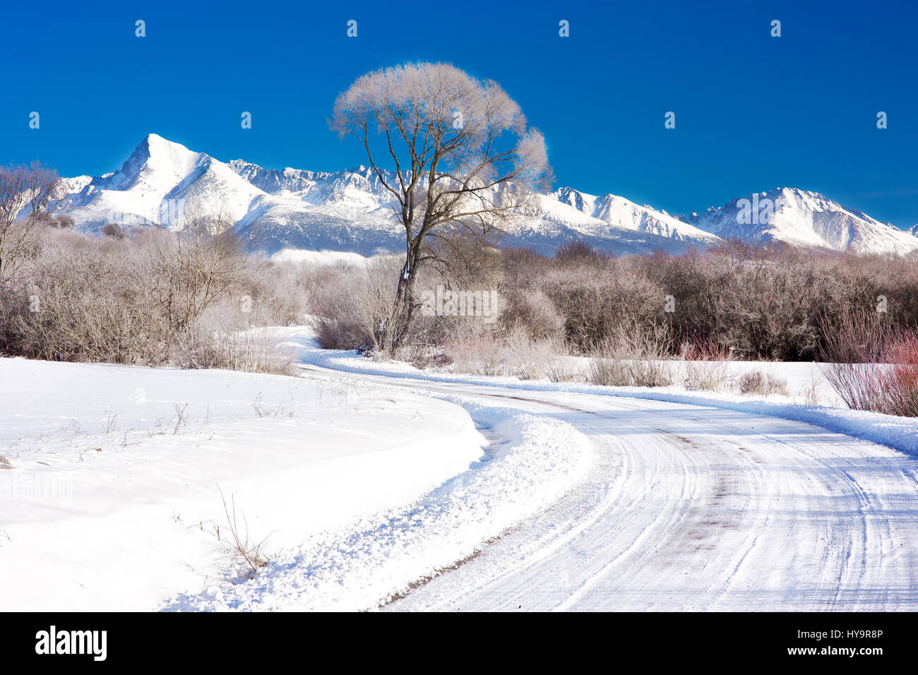 Krivan mountain in the High Tatras, Slovakia, Europe. Stock Photo