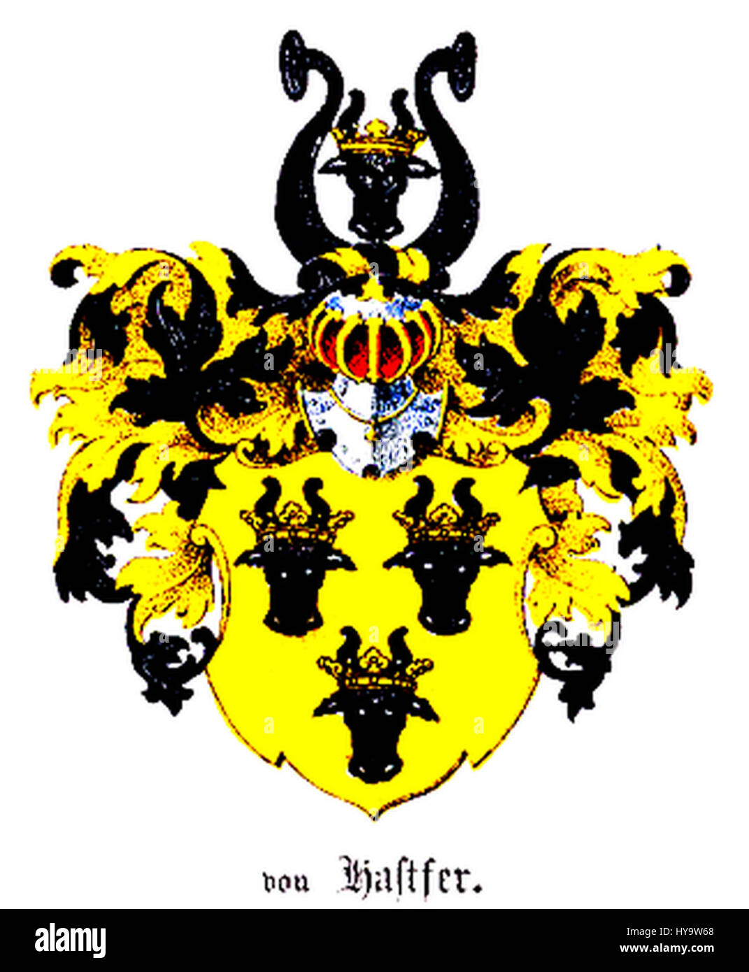 Hastfer s Certificate of Authenticity (COA) serves as official