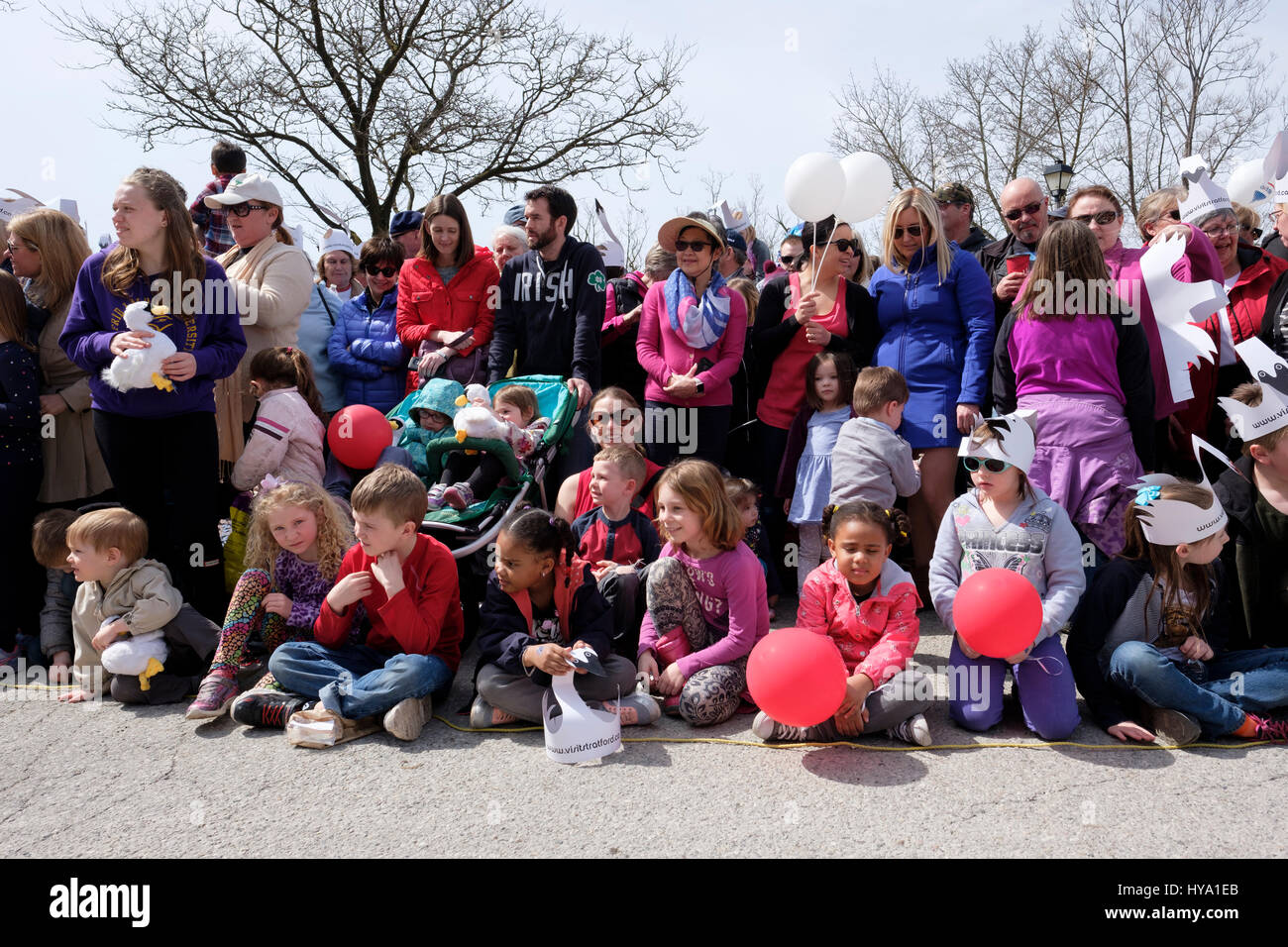 Stratford, Ontario, Canada, 2nd Apr, 2017. Kids, children line up to watch the Stratford's Annual Swan Parade, when the city's flock of mute swans (Cygnus olor) returns to the Avon River, in celebration of the arrival of Spring. Credit: Rubens Alarcon/Alamy Live News. Stock Photo
