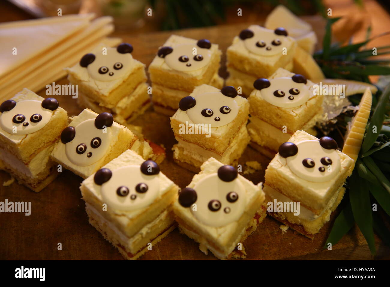 Amazon.com : Traveling Panda Bamboo Toothbrushes Soft