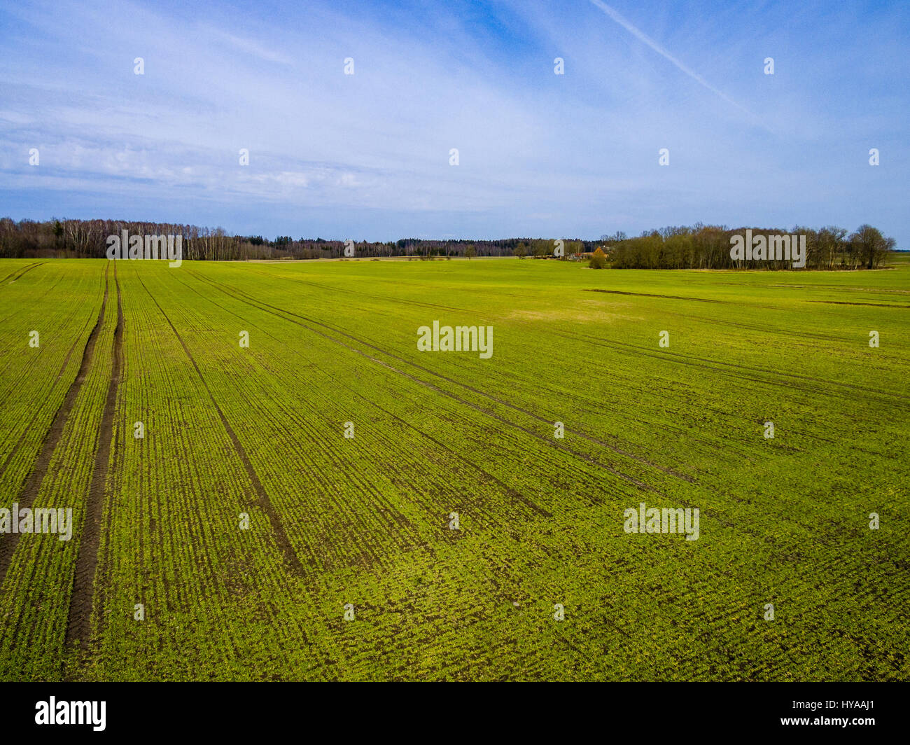 drone image. aerial view of rural area with freshly green fields ...