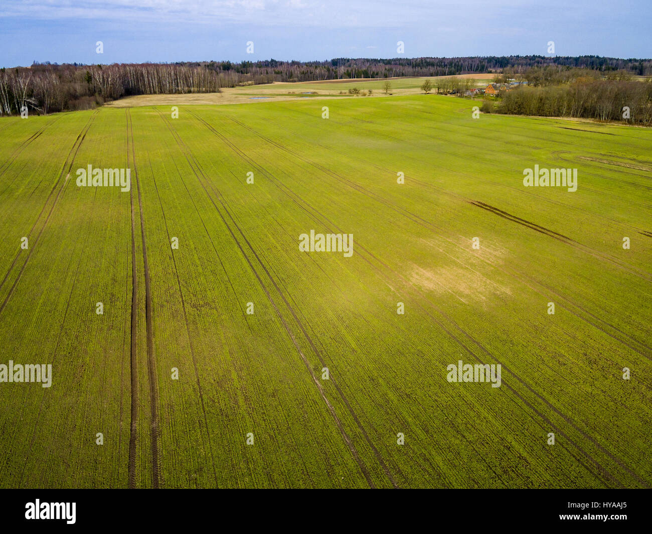 drone image. aerial view of rural area with freshly green fields ...