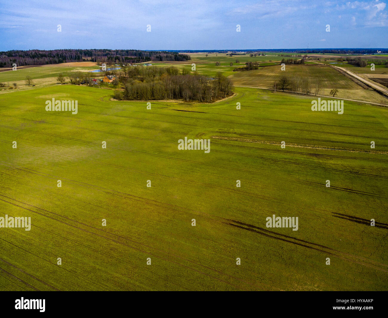 drone image. aerial view of rural area with freshly green fields ...