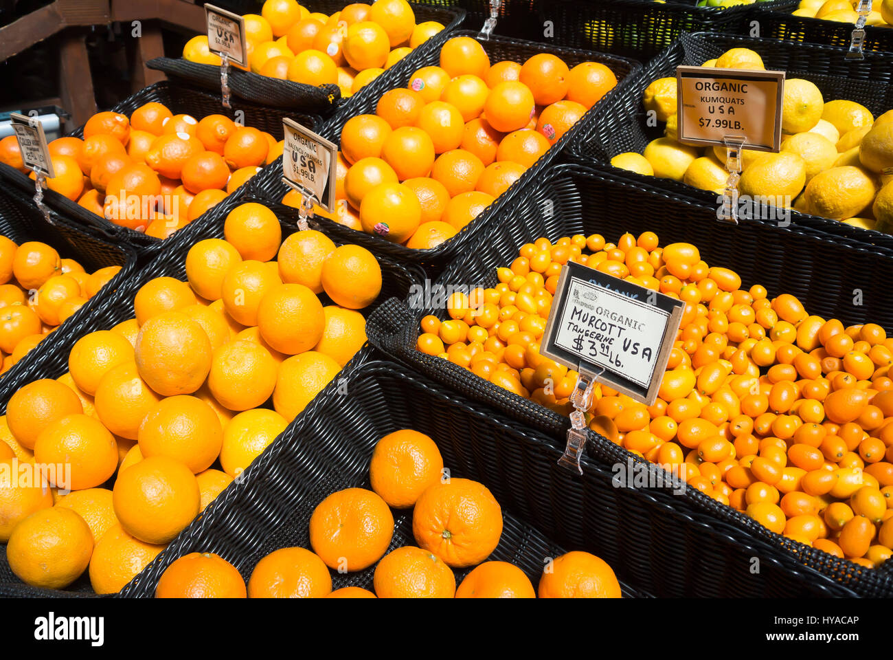 Citrus Fruits on Display for Purchase Stock Photo