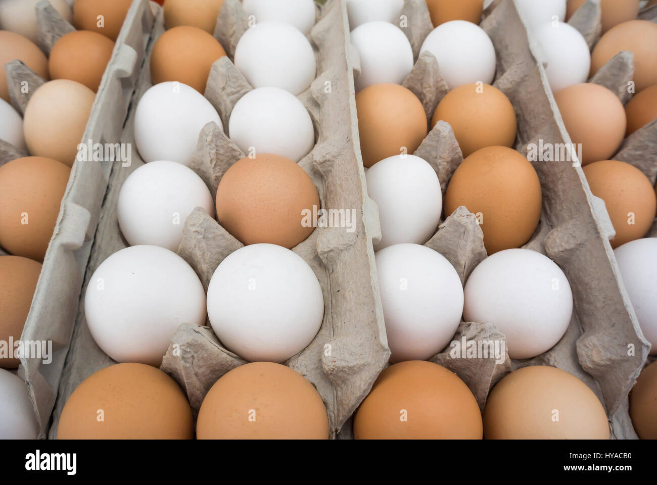 Eggs on Display at Farmer's Market Stock Photo