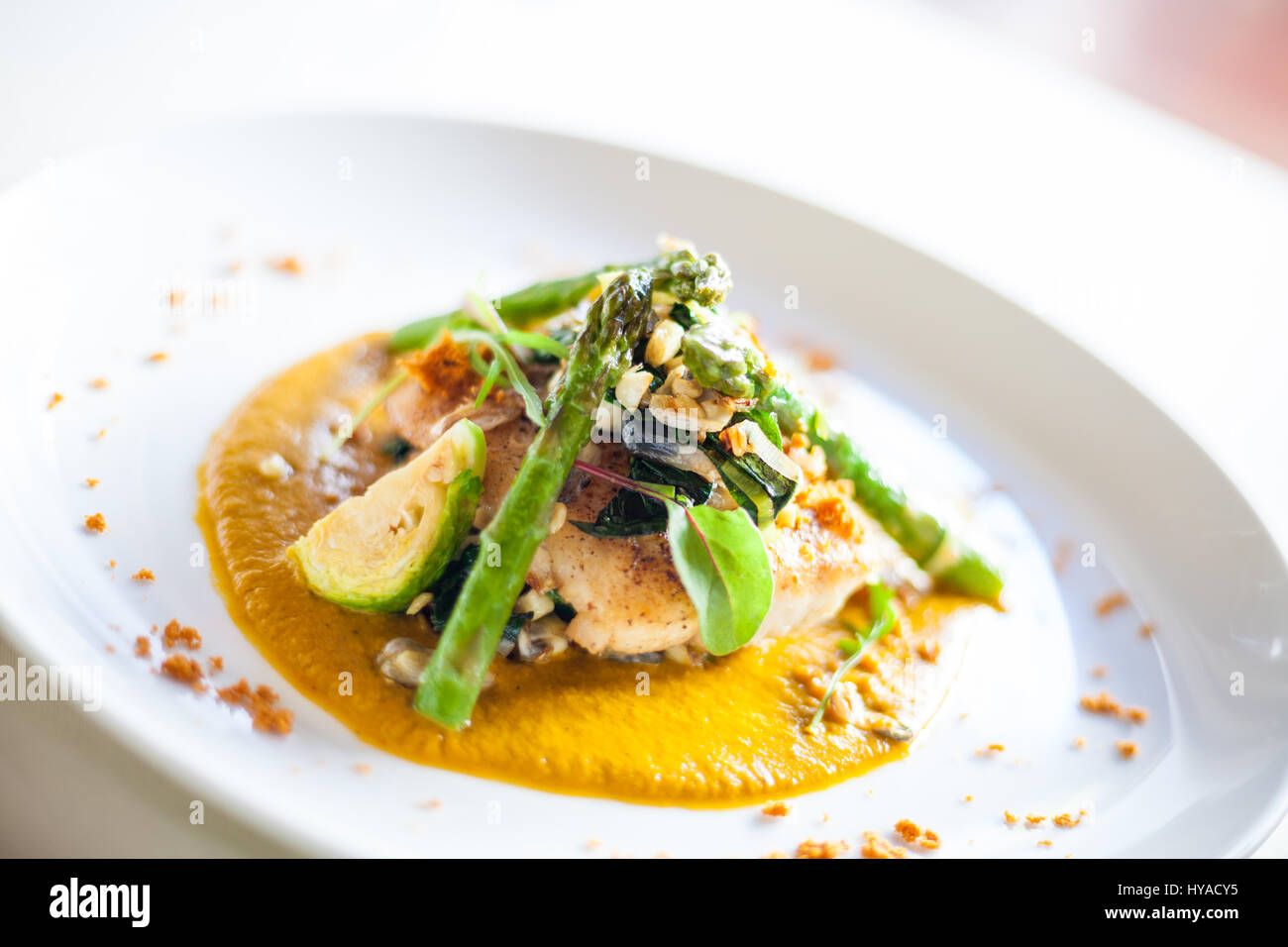 Fish filet covered in asparagus by Chef Marco Valdivia in Tepic, Nayarit, Mexico. Stock Photo