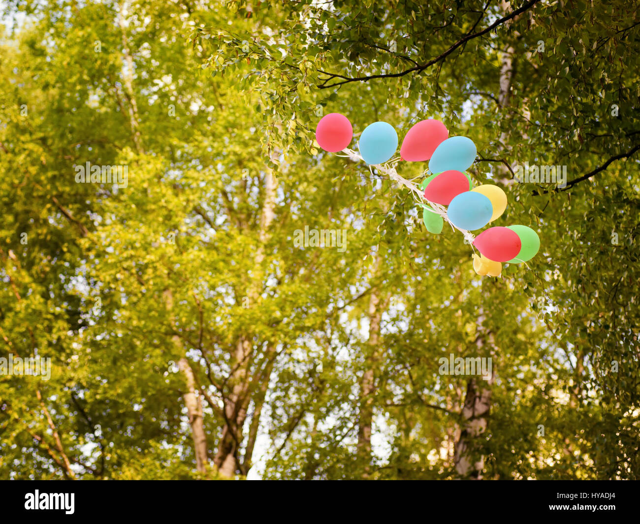 Floating colored balloons into green wood. Spring and summer party theme Stock Photo