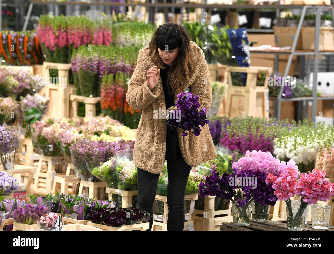 EDITORIAL USE ONLY A customer inspects blooms on the opening day of the new Flower Market at New Covent Garden Market in Nine Elms Lane, London. Stock Photo