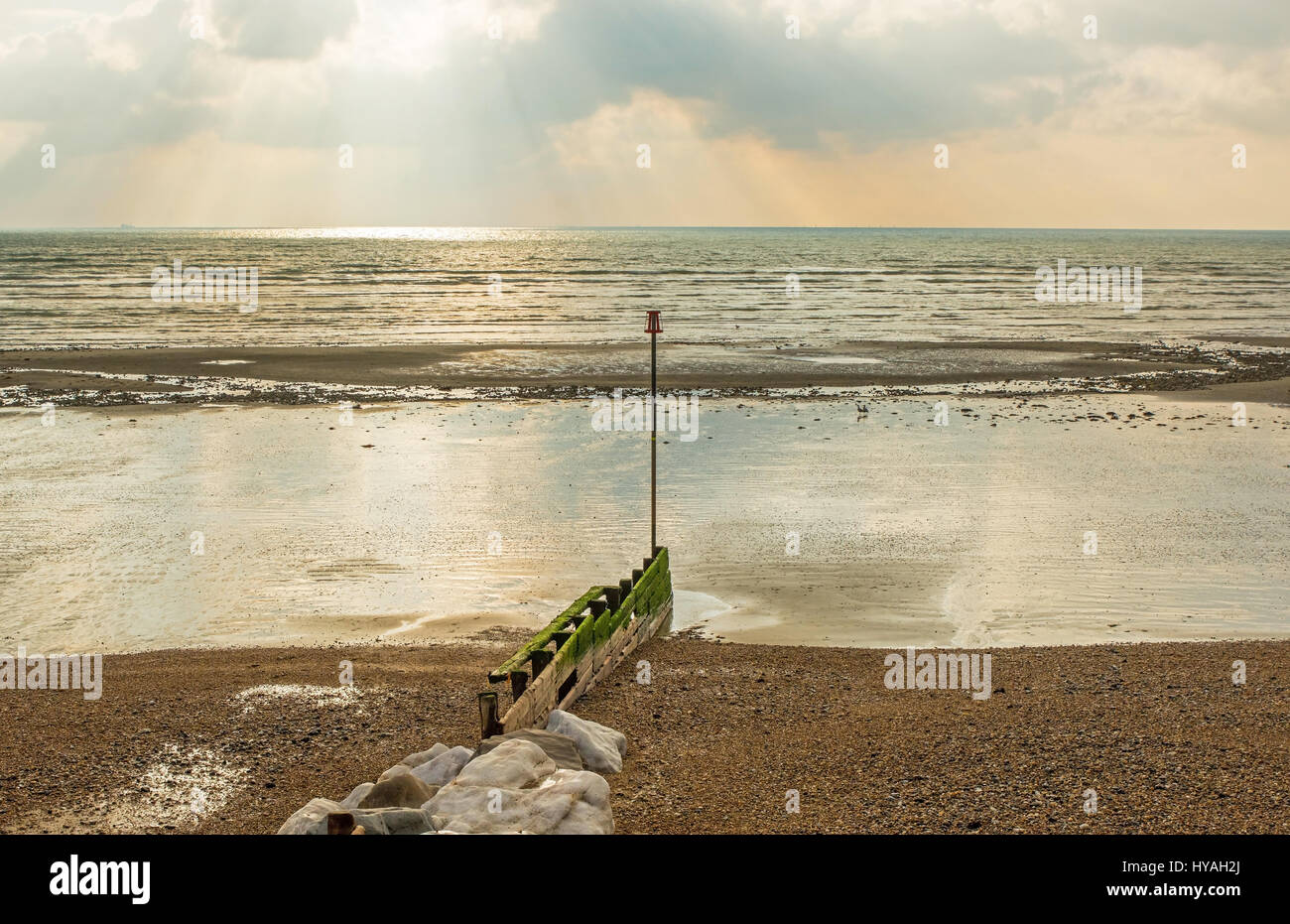 Shingle and sand beach at low tide. Ferring near Worthing in West Sussex,  England. With groyne sea defences Stock Photo - Alamy