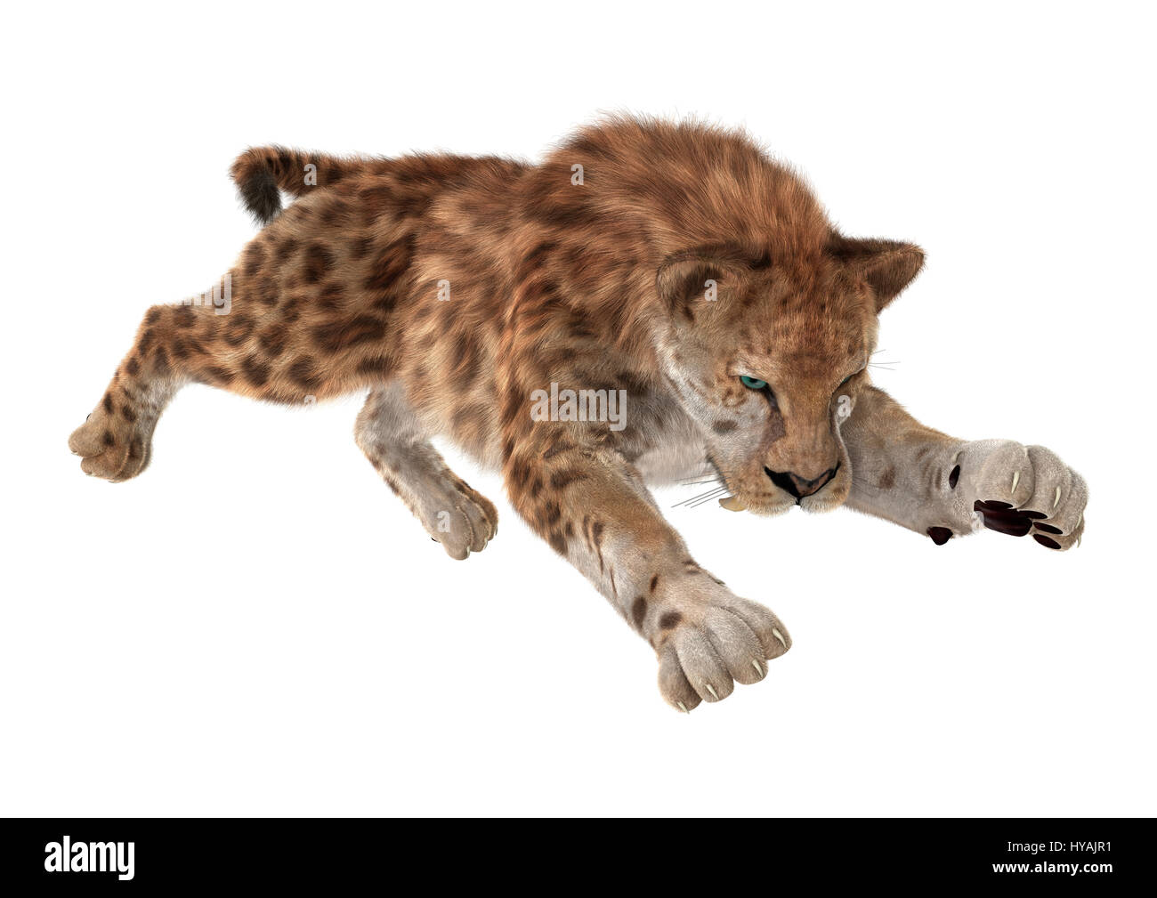 3D rendering of a sabertooth tiger isolated on white background Stock Photo