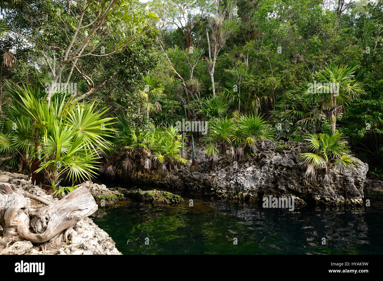Cueva de los Peces it is a 70m-deep cenote on the south coast of Cuba  near Giron beach Stock Photo