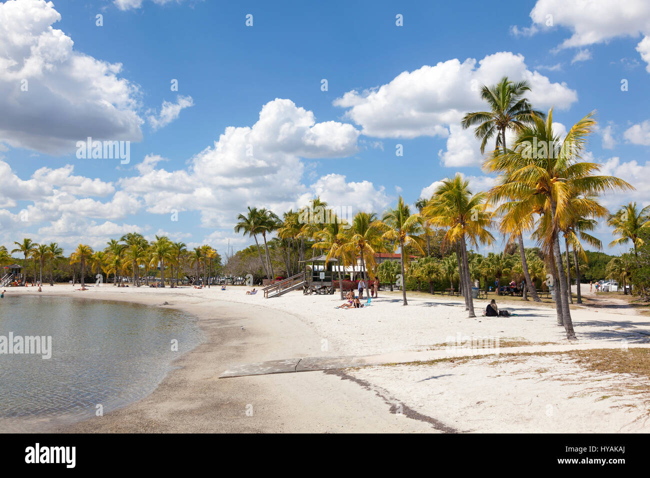 MIAMI, USA - MAR 10, 2017: Matheson Hammock Park beach in Miami, Florida, United States Stock Photo