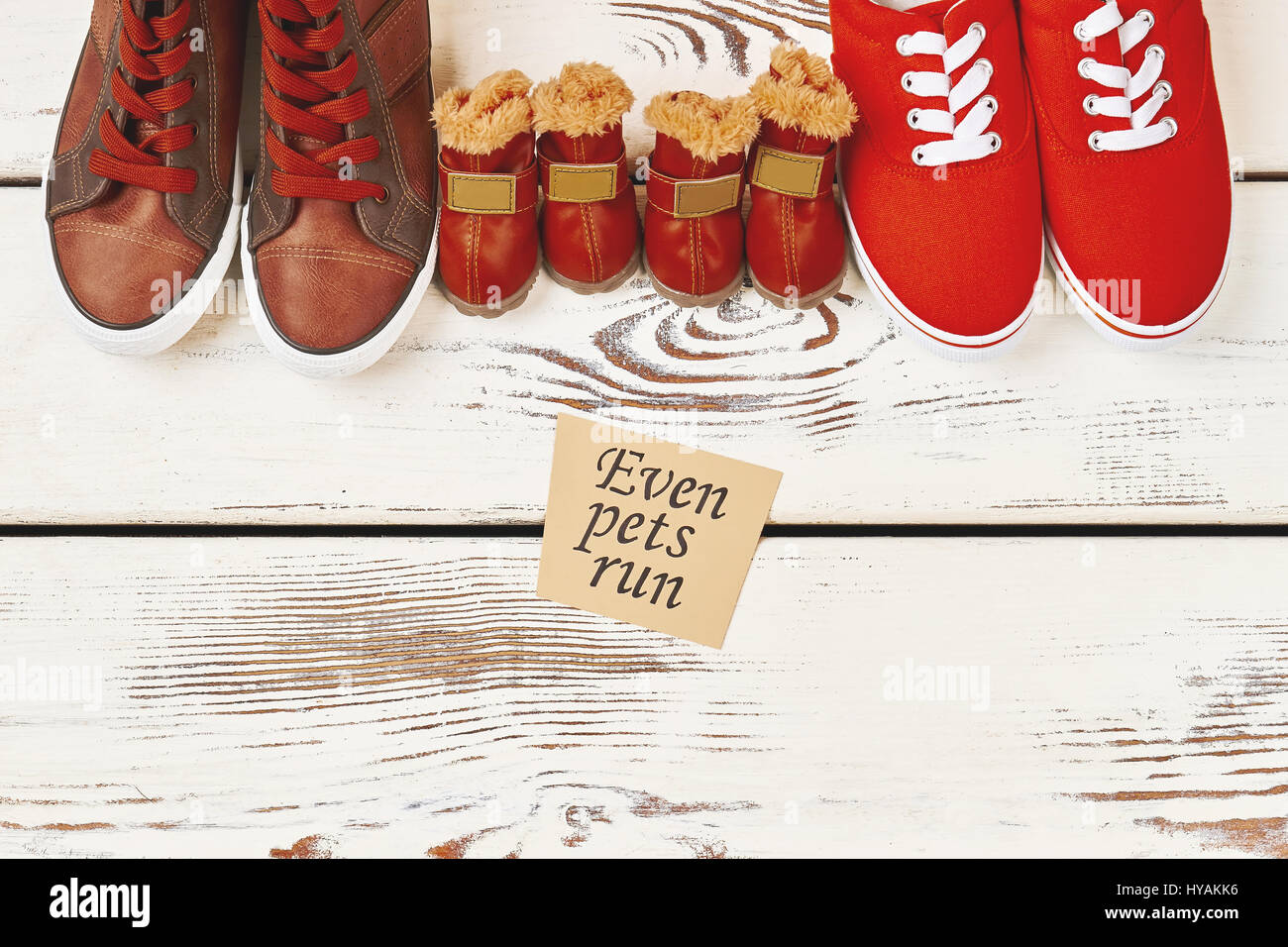 Shoes for dogs and humans Stock Photo Alamy