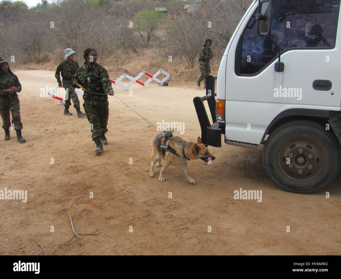 Black mamba poaching unit hires stock photography and images Alamy