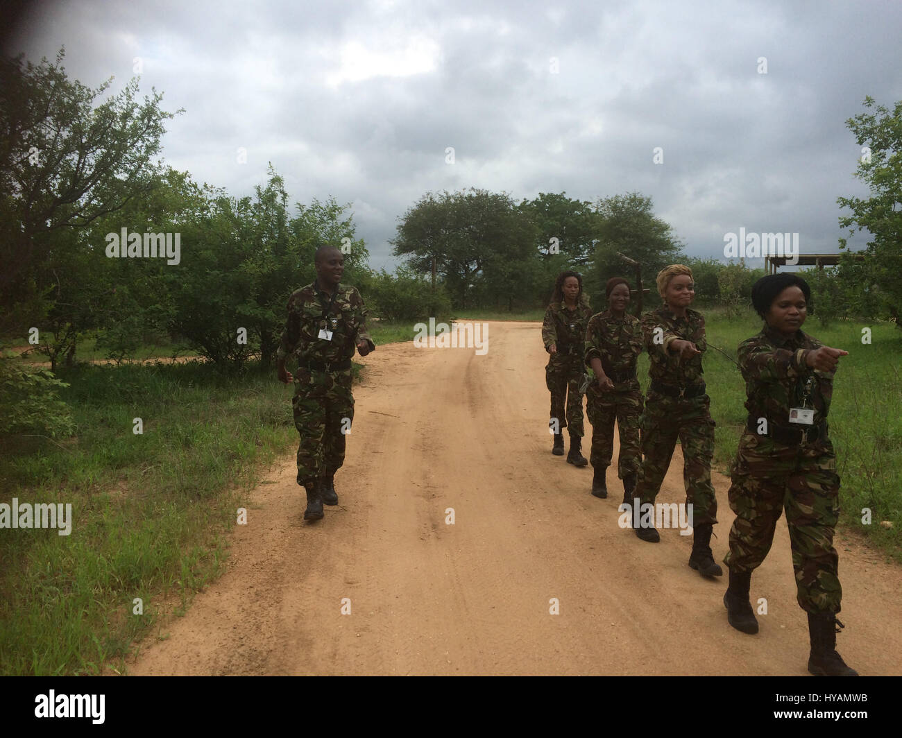 BALULE RESERVE, SOUTH AFRICA: Four recruits marching. LED BY BRITISH former military personnel these pictures show how courageous women anti-poachers train with guns in their battle to preserve Africa’s endangered animals. Operating in the Kruger National Park’s Balule Nature Reserve the 24-member strong all-female Black Mamba Anti-Poaching Unit patrols 50,000 hectares of bush to protect elephants and rhinos that are hunted as part of the estimated £12billion a year illegal world animal trade. These ladies, who as pictures show pose with weapons but also know how to party, are on the front lin Stock Photo