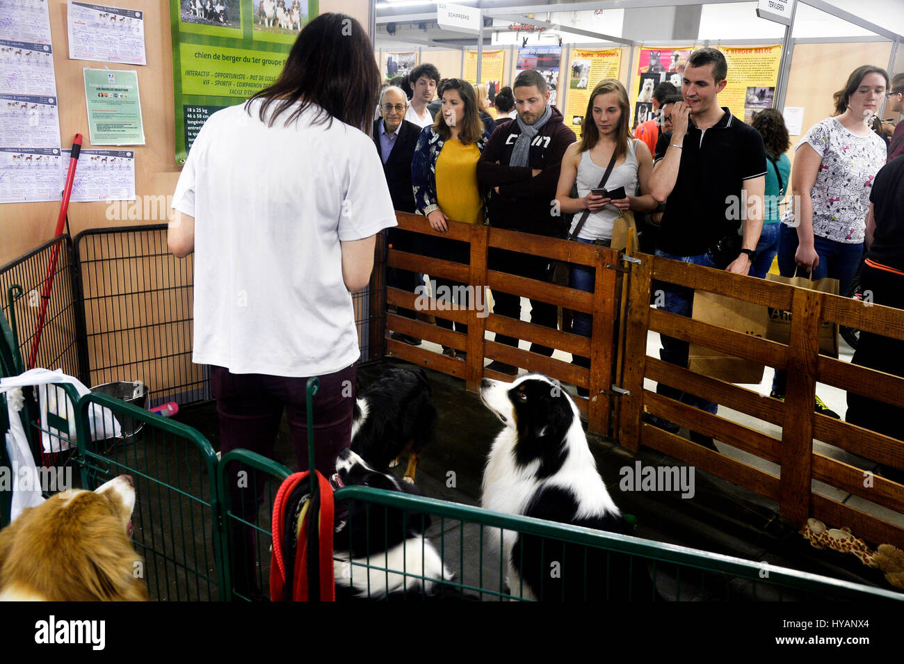 Chat en cage hi-res stock photography and images - Alamy