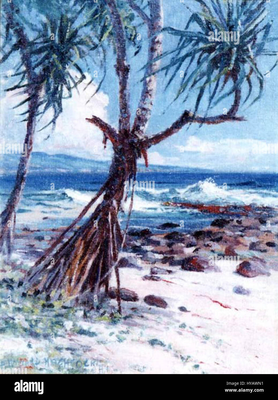 'Lauhala' by D. Howard Hitchcock, oil on board, 16 x 12 inches Stock Photo