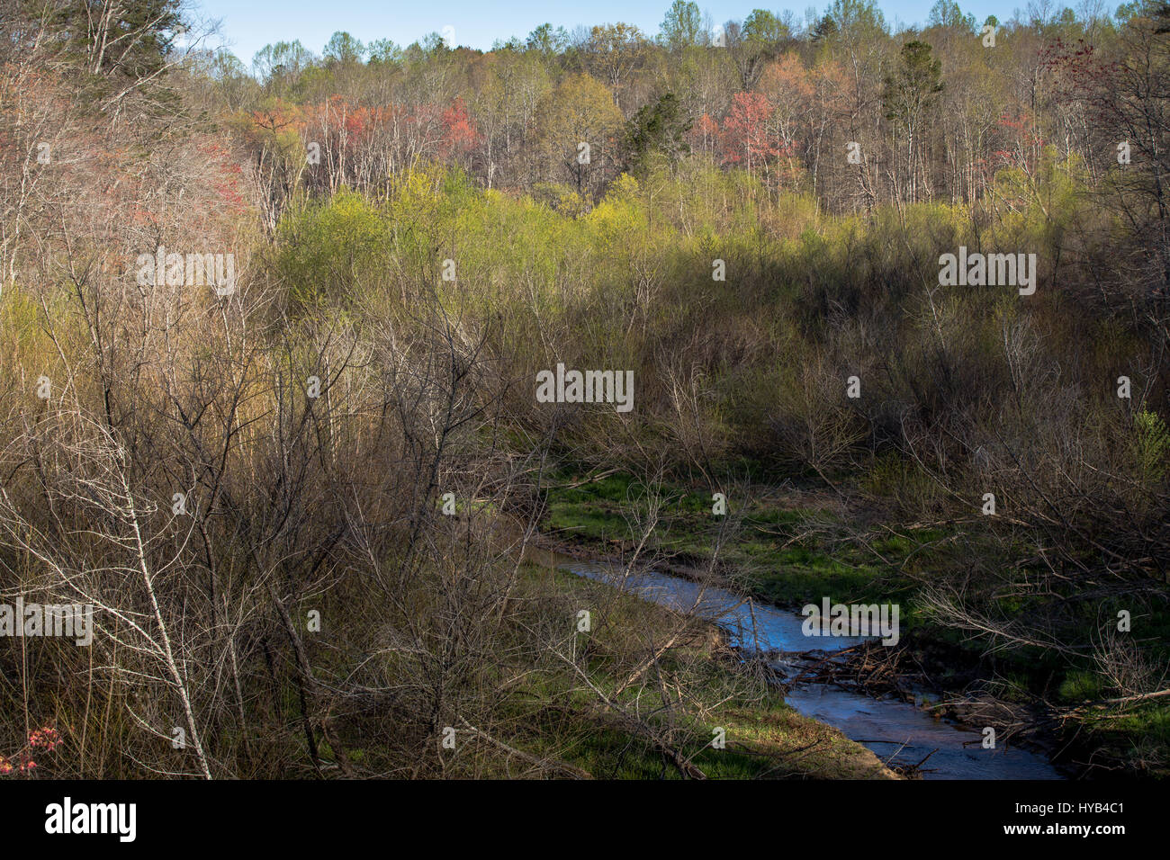 This is an image of the area in which Latham Creek empties into Lake Lanier along the Chestatee River section of the lake.  Typically this view would show a cove of the lake, but the water levels are still so low the area is relatively dry and beginning to grow vegetation again. Stock Photo