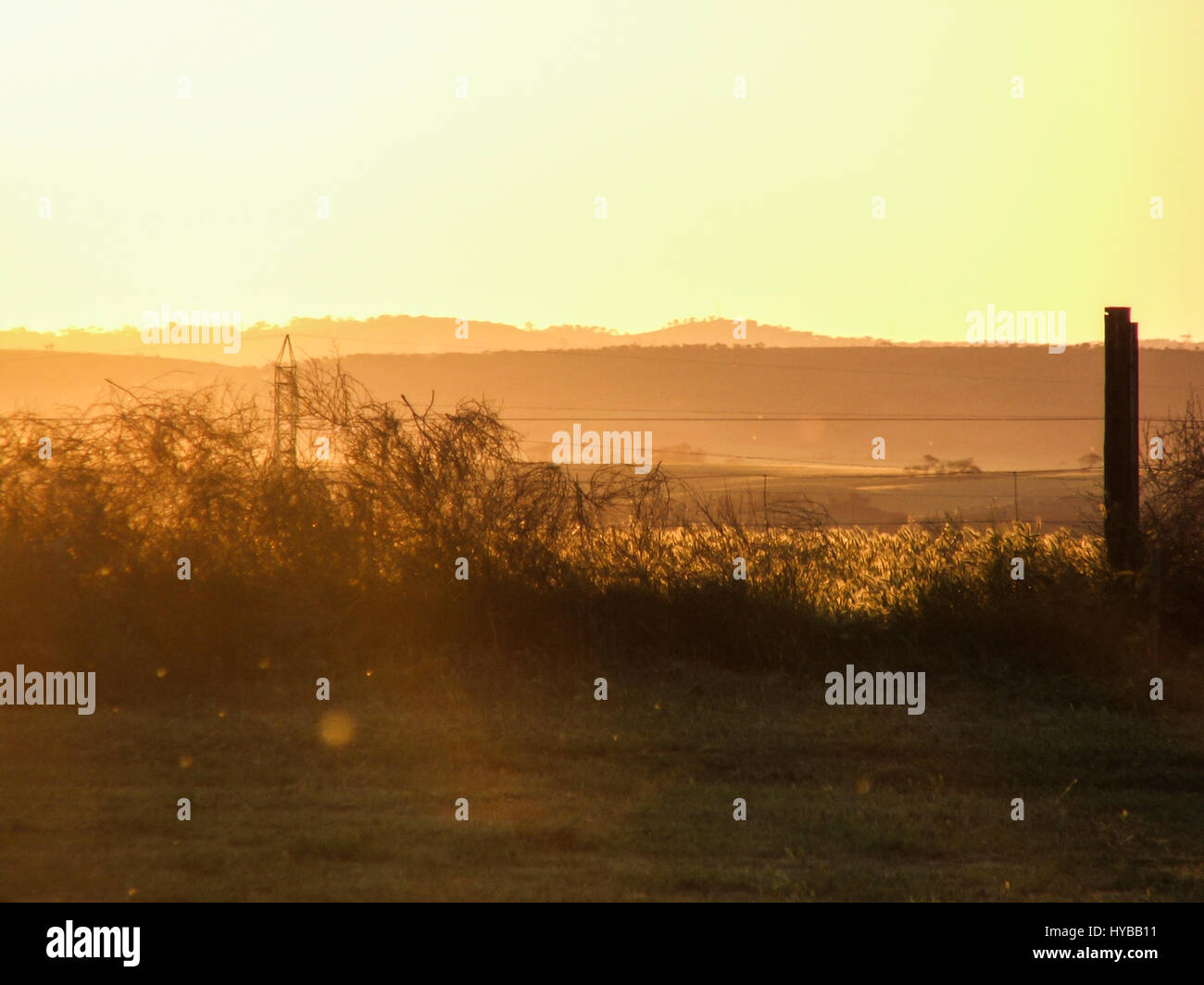 Soft focus orange sunset over rural land in South Australia Stock Photo ...
