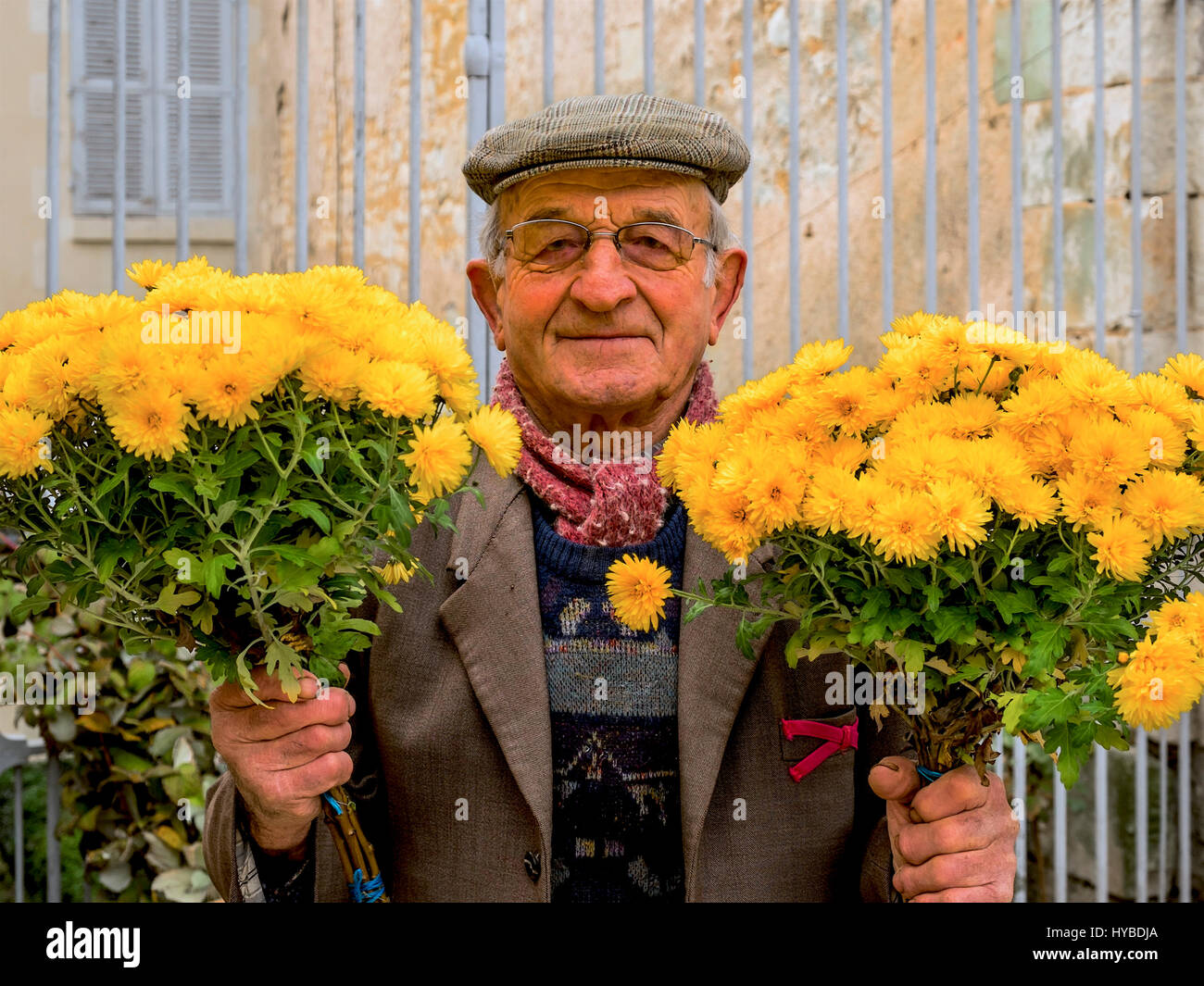 French flower seller holding bunches of yellow chrysanthamums. Stock Photo