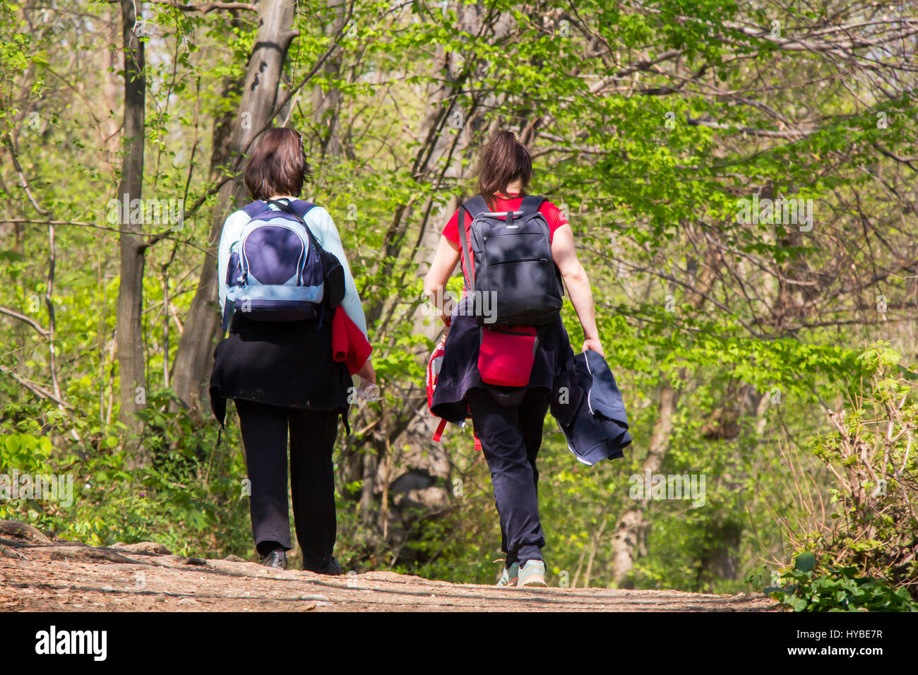 Two women going for a walk in a forest Stock Photo - Alamy