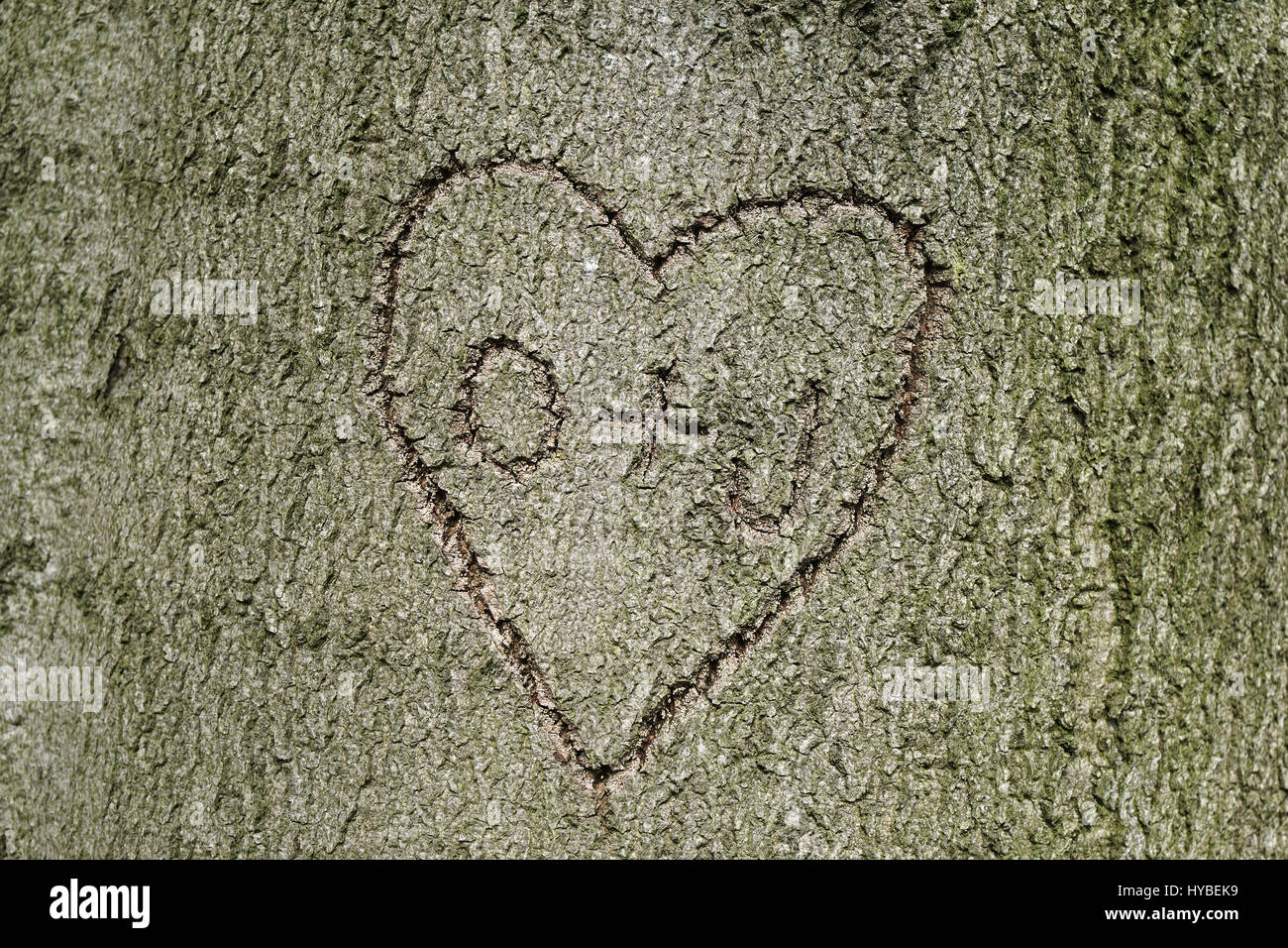 heart shape with initials carved into tree Stock Photo