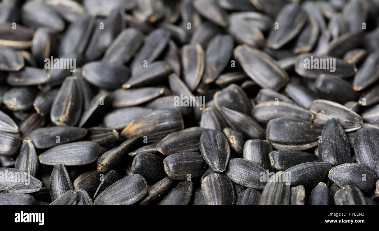 Black sunflower seeds Stock Photo Alamy